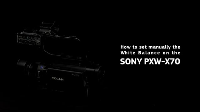 fs7 white balance