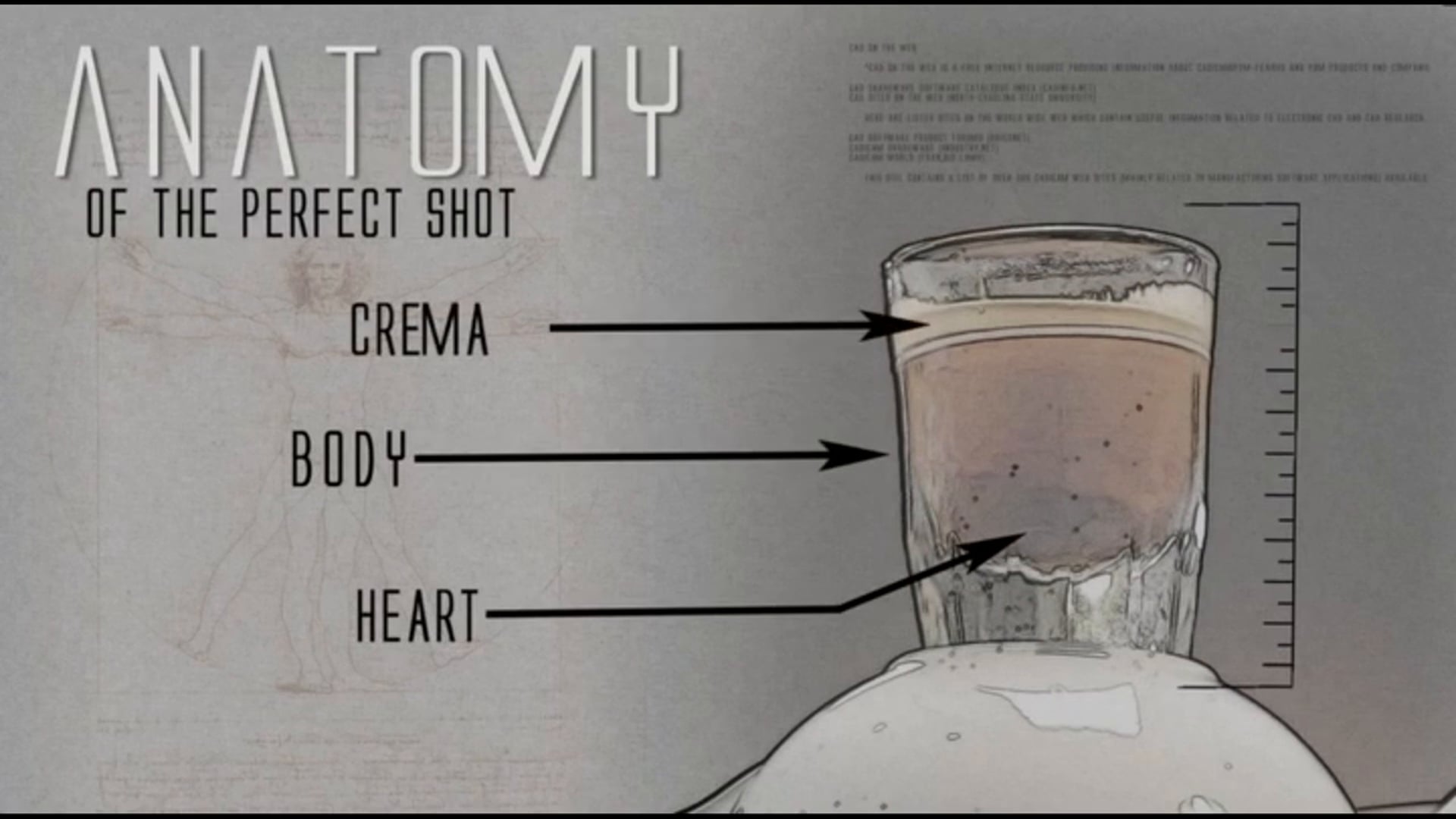 Instructional Video Design