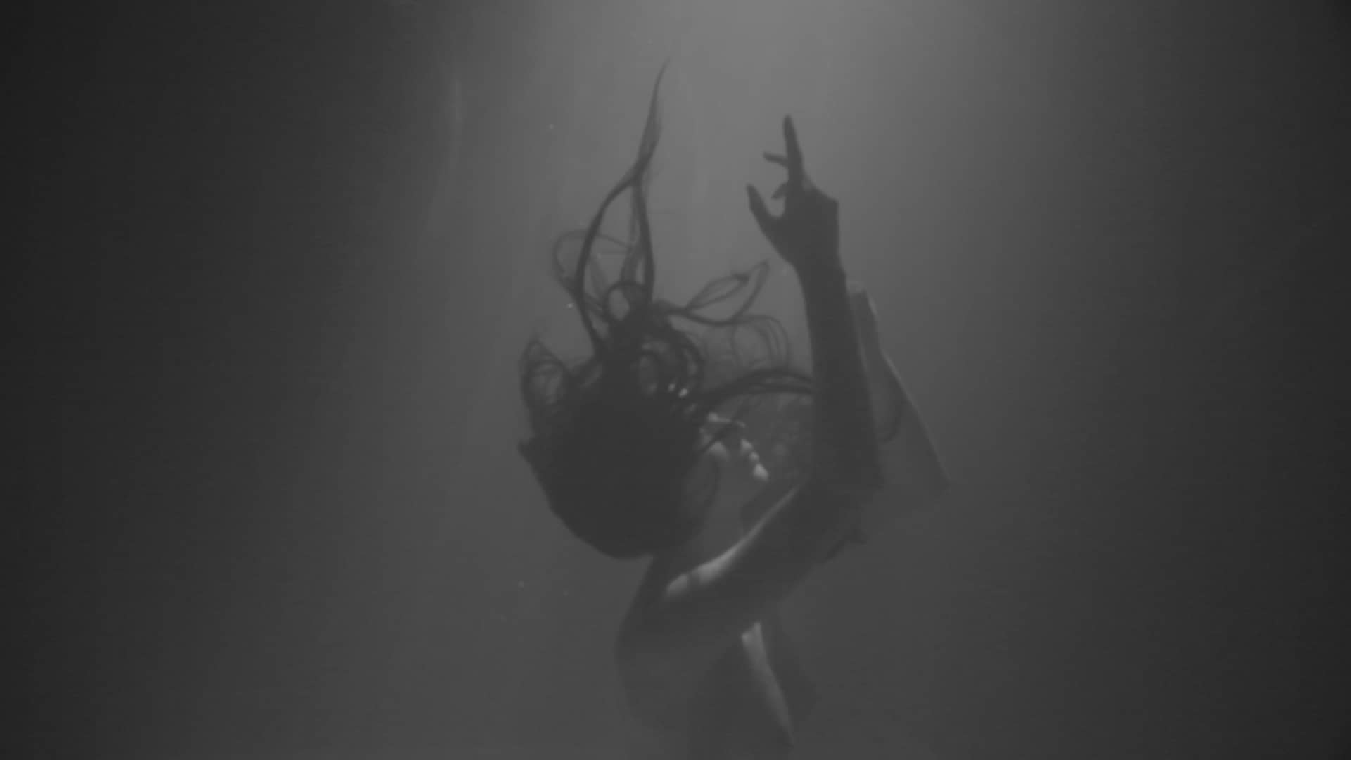 Fall on Vimeo