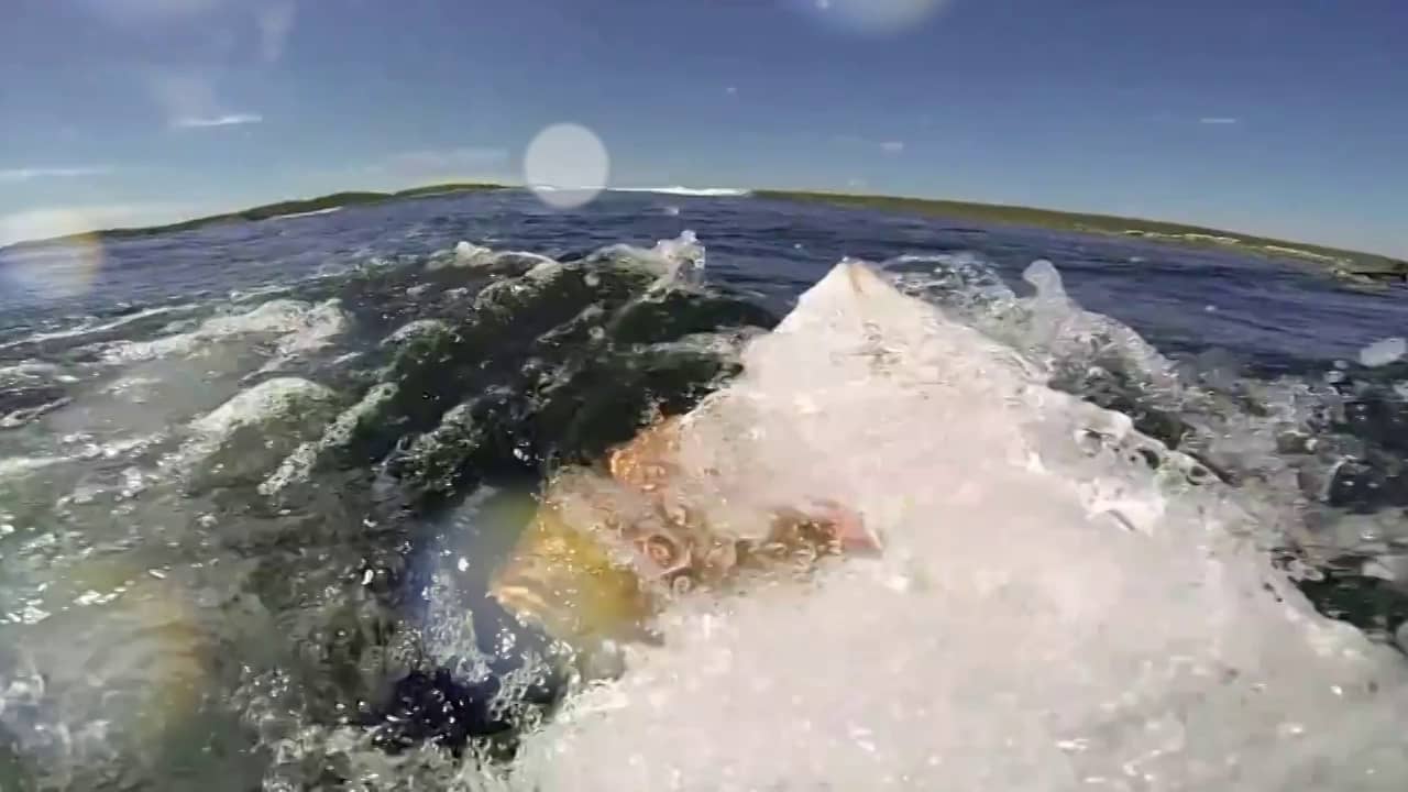 UCLA Surfing TV intro homework on Vimeo