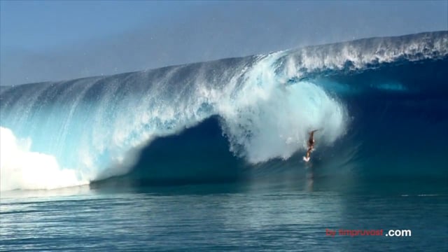 TAHITIAN CHARGERS from Tim PRUVOST