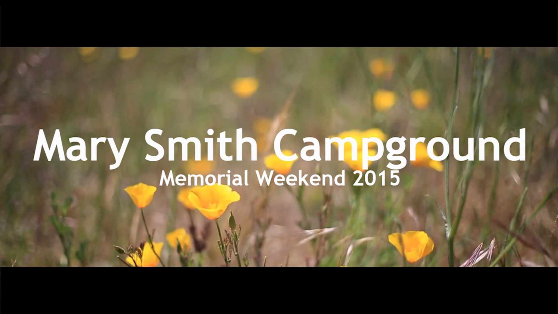 a Journey in North California