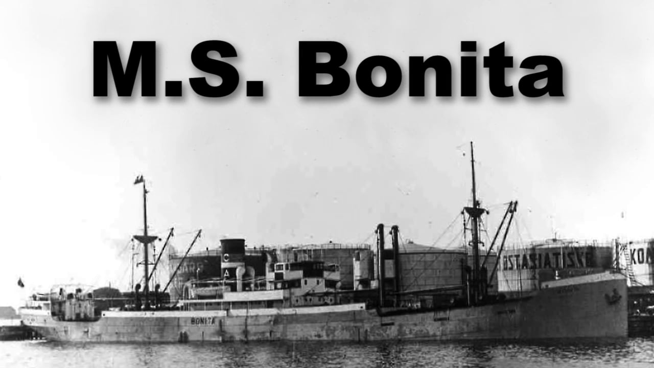 Bonita 2015
