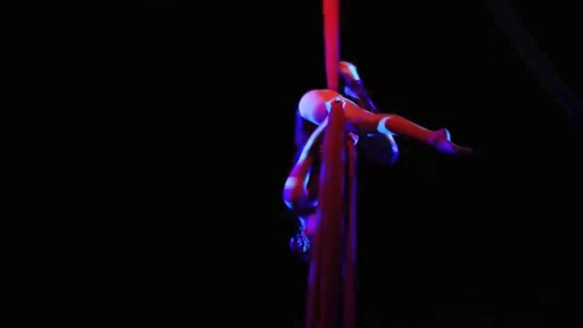 Promotional video thumbnail 3 for The Aerial Muse