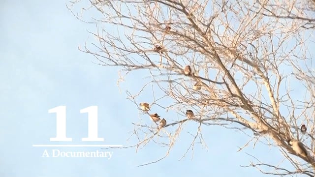 11 on Vimeo