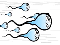 Manual and Automated Semen Analysis Solutions for Every Laboratory