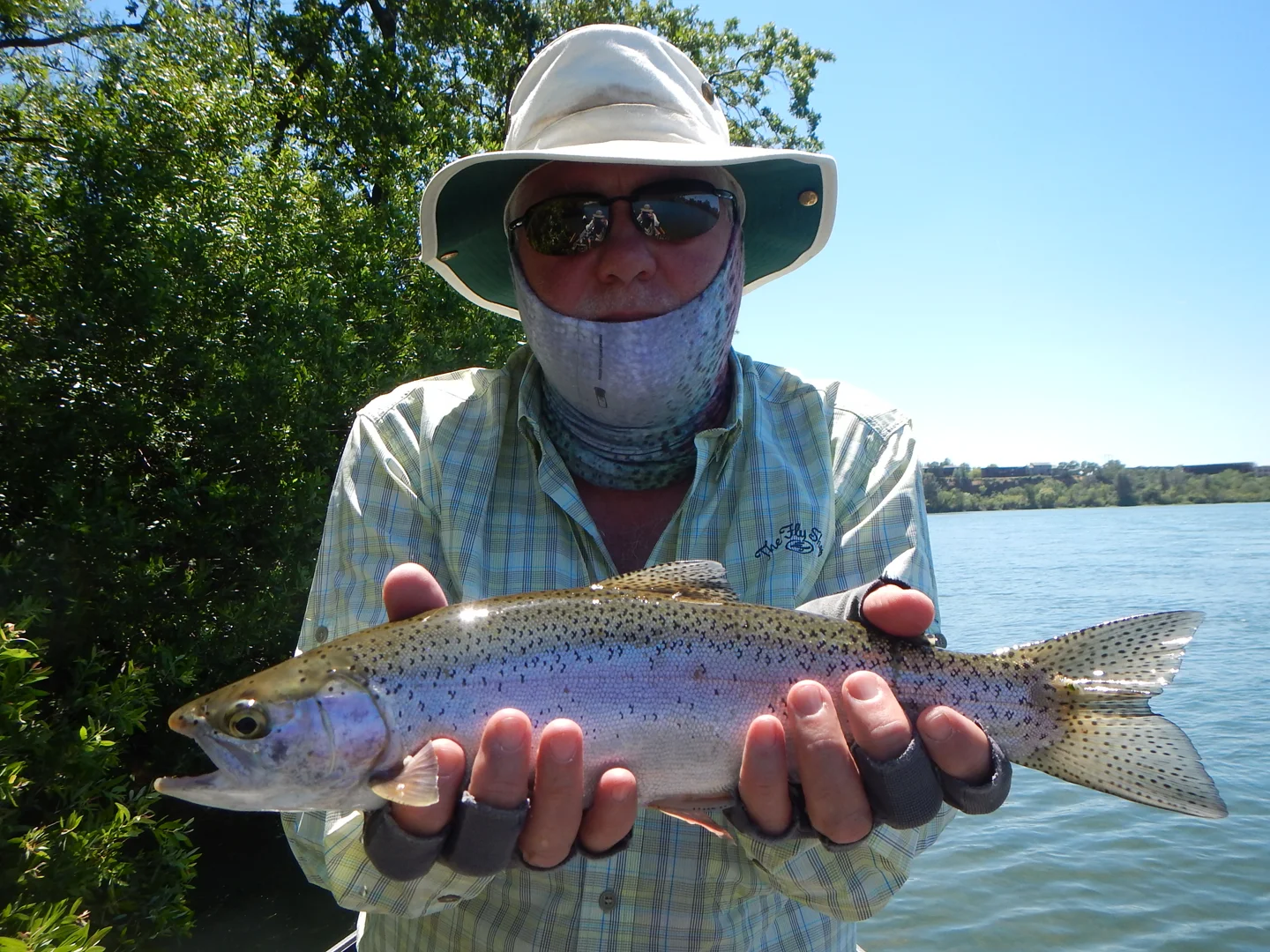 Fly Fishing The Lower Sacramento River Near Redding California on Vimeo