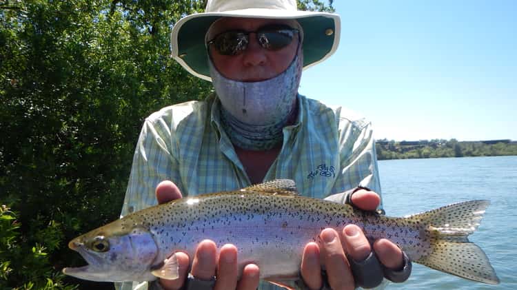 Fly Fishing The Lower Sacramento River Near Redding California on Vimeo