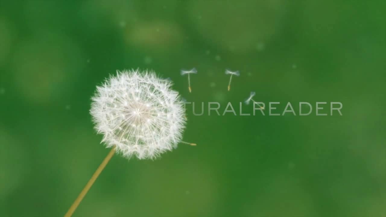 quick start on Vimeo