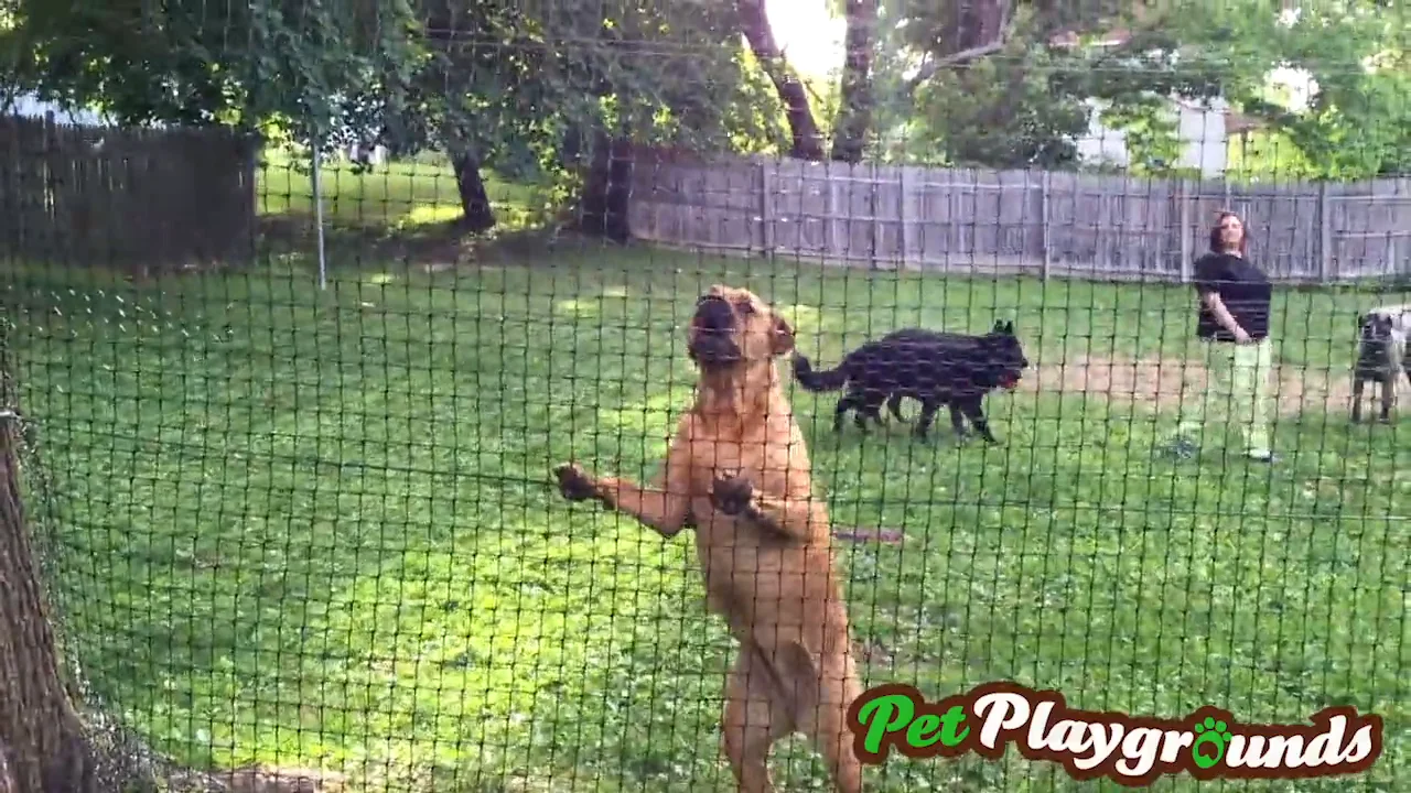 Pet Playgrounds strong dog fence on Vimeo