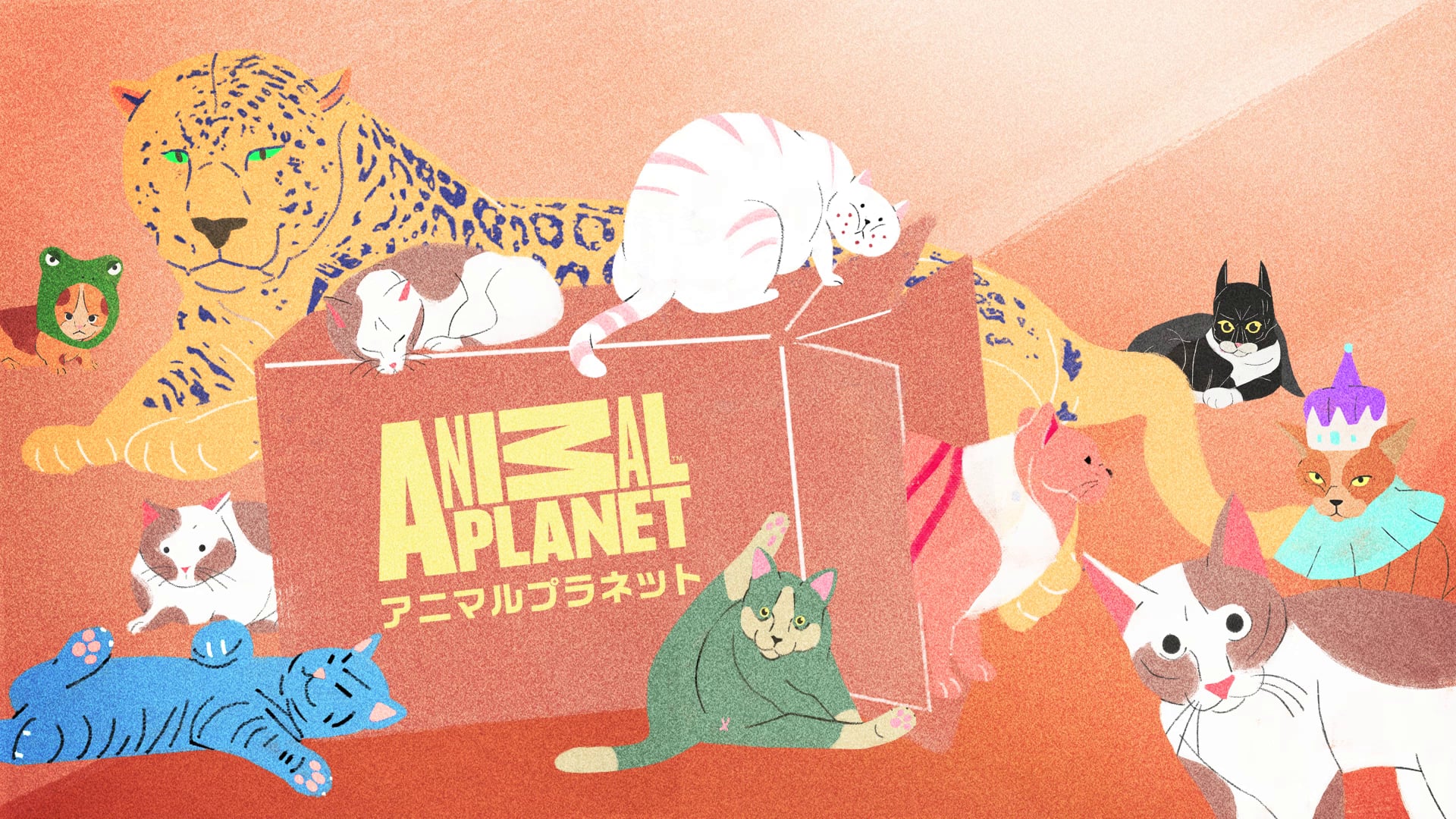 Animal Planet "Cat Block"