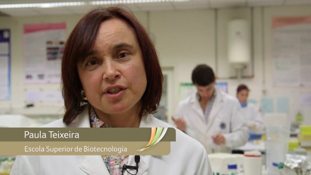 Paula Teixeira - Listeria - Isolamento de bactérias de ácido láctico