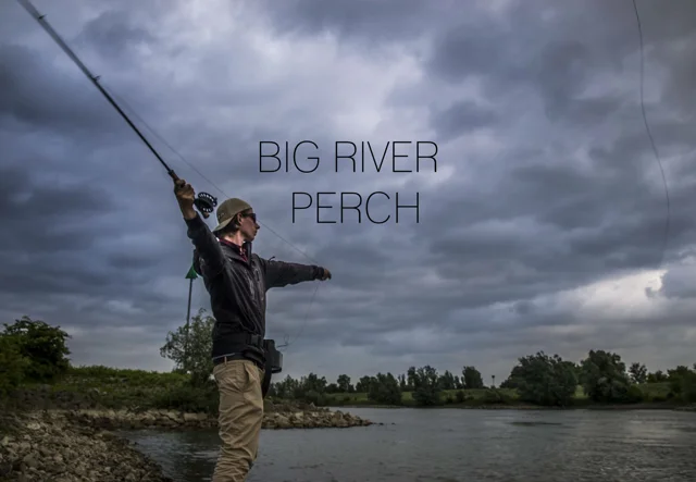 Big River Perch - Fly Fishing Rough Conditions