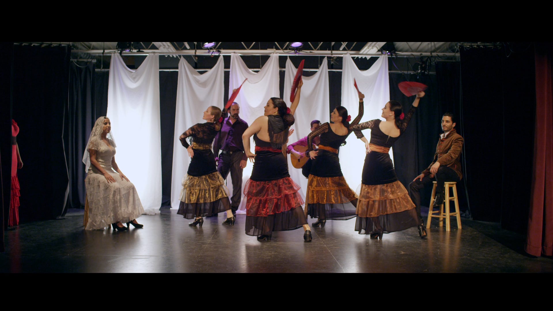 Flamenco Stereo Master h264 may29