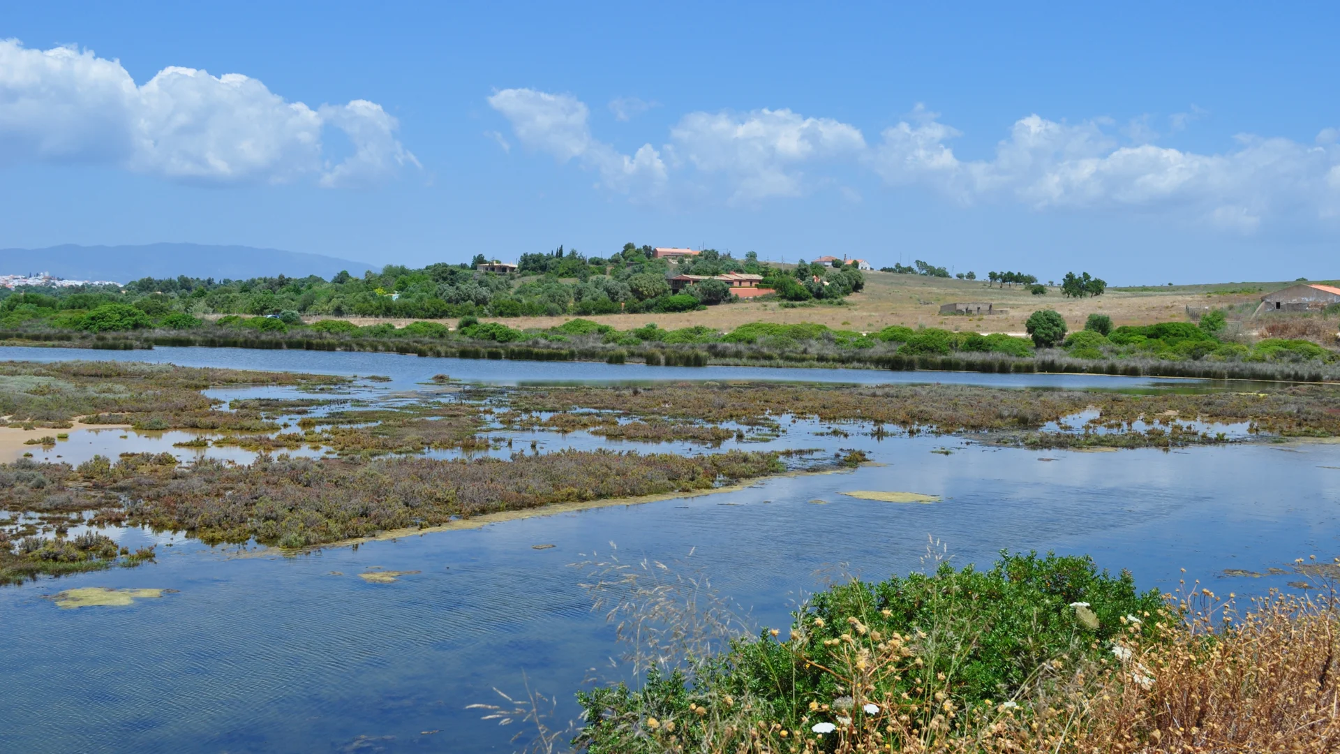 Preserving the Alvor Estuary on Vimeo