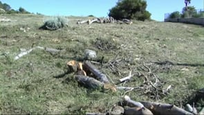 L'Ajuntament de l'Escala demana la col·laboració dels propietaris de parcel·les per evitar incendis
