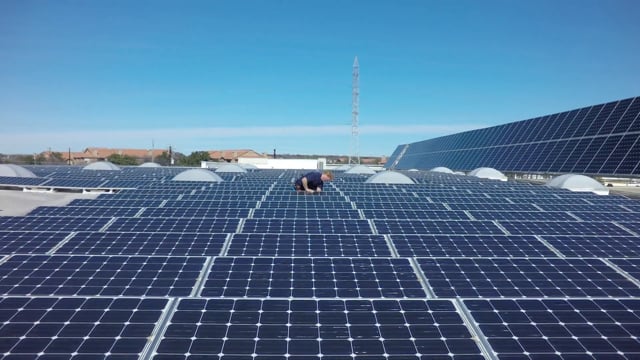 Willie Nelson for Freedom Solar
