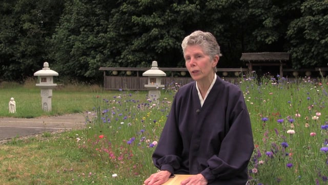 Mindful Eating: An Online Course with Jan Chozen Bays, MD