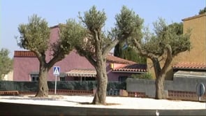 El giratori del barri Rosa Lau, pràcticament completat
