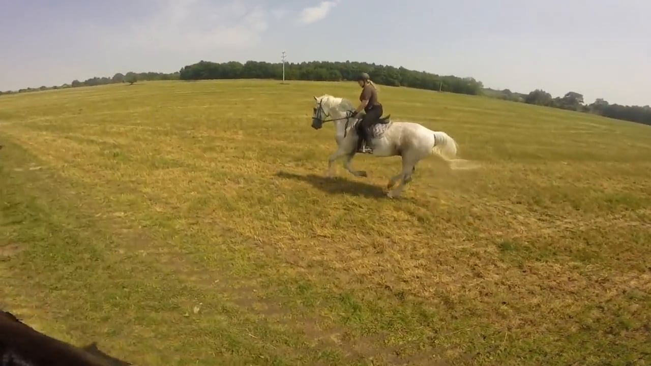 Horse Riding 7.6.2015 on Vimeo