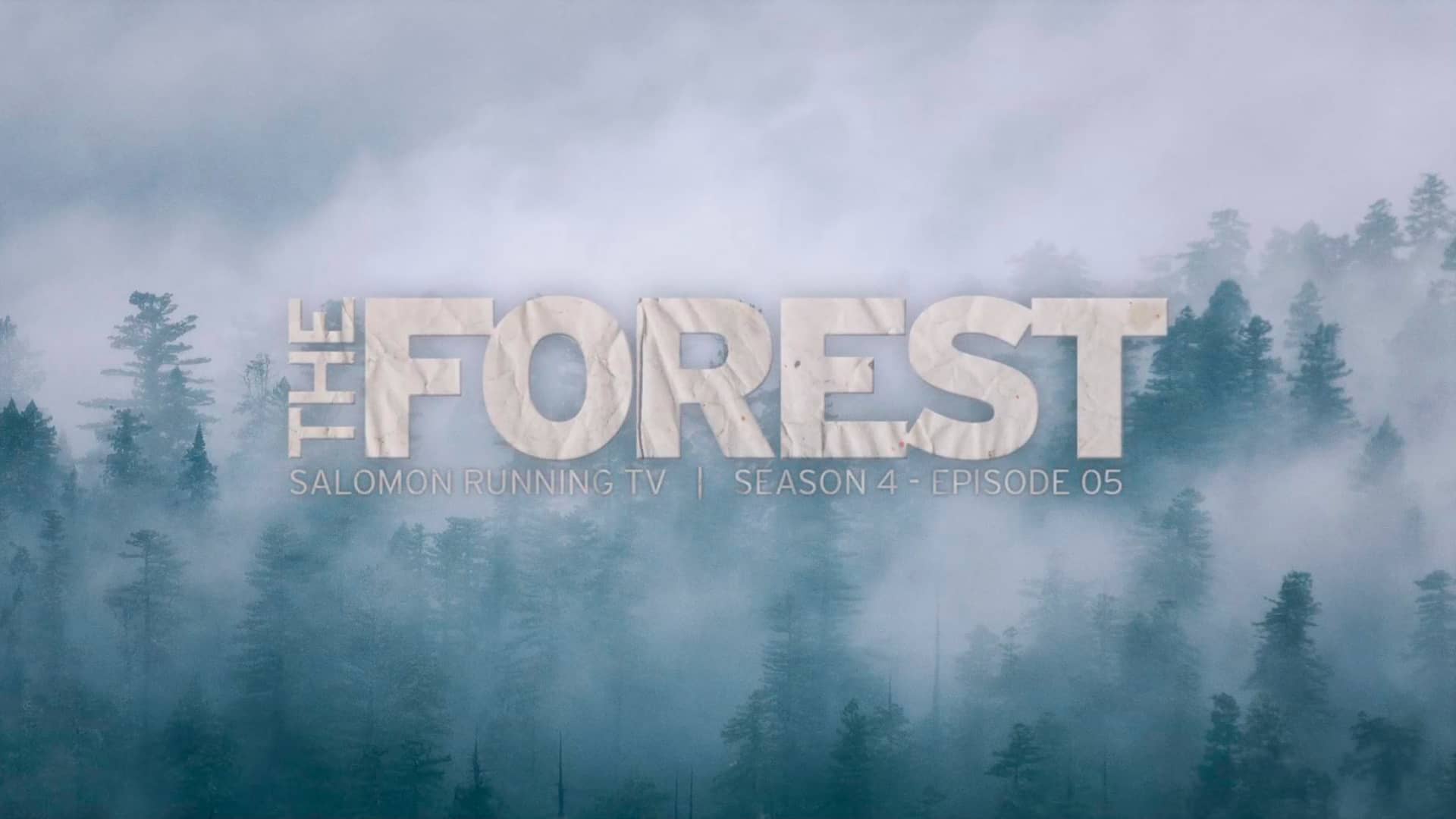 The Forest - Salomon Running TV S4 E05 on Vimeo