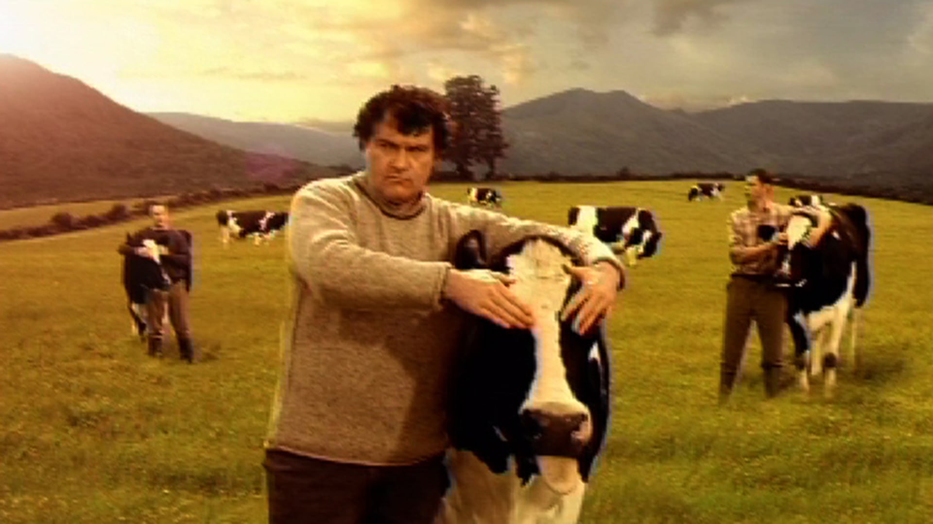 kerrymaid "pampered cows"