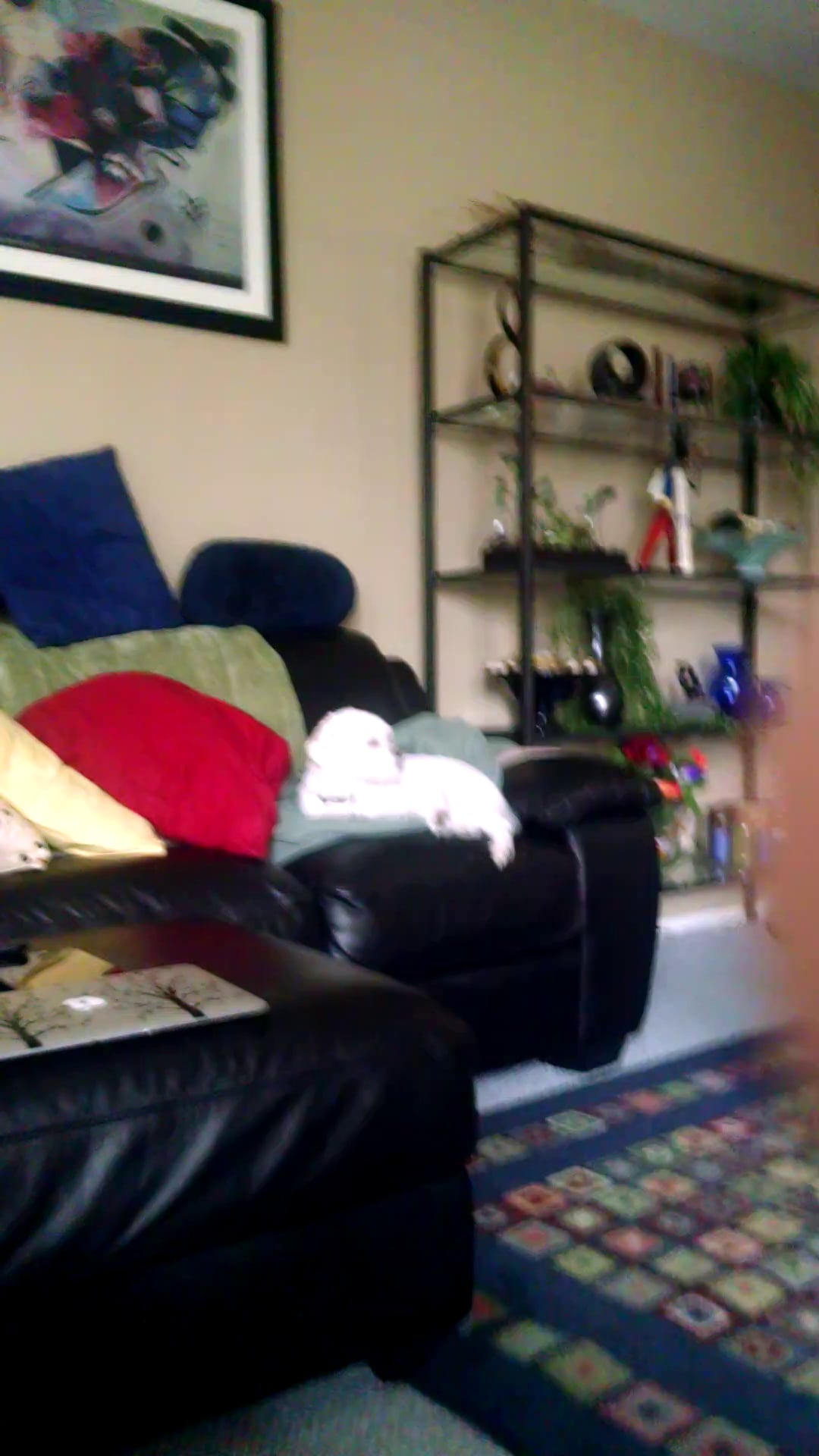 clap on Vimeo