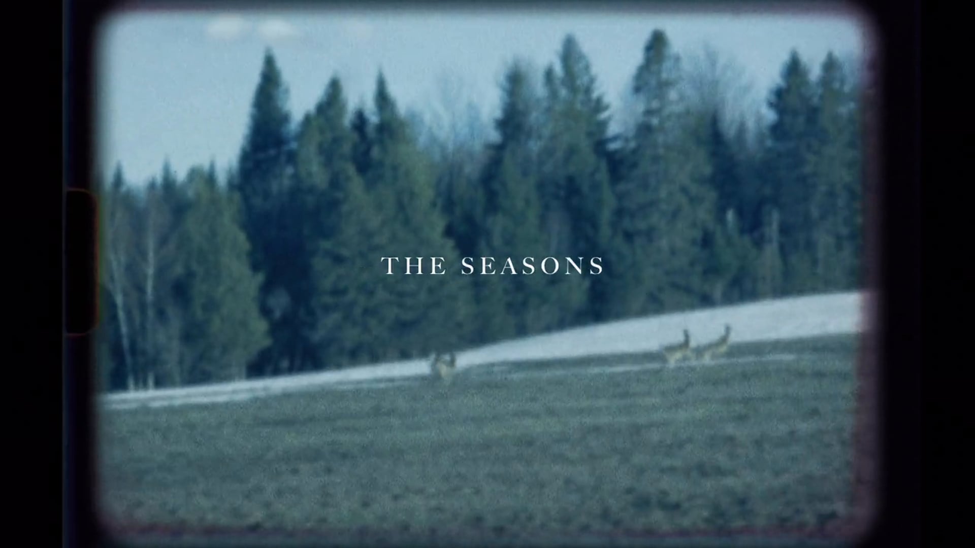 The Seasons - Apples