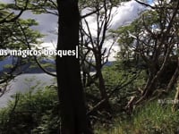 Cargando oferta de viaje…