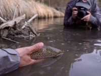 Find Your Water: Season 1, Episode 6: Fly Fishing Eh?