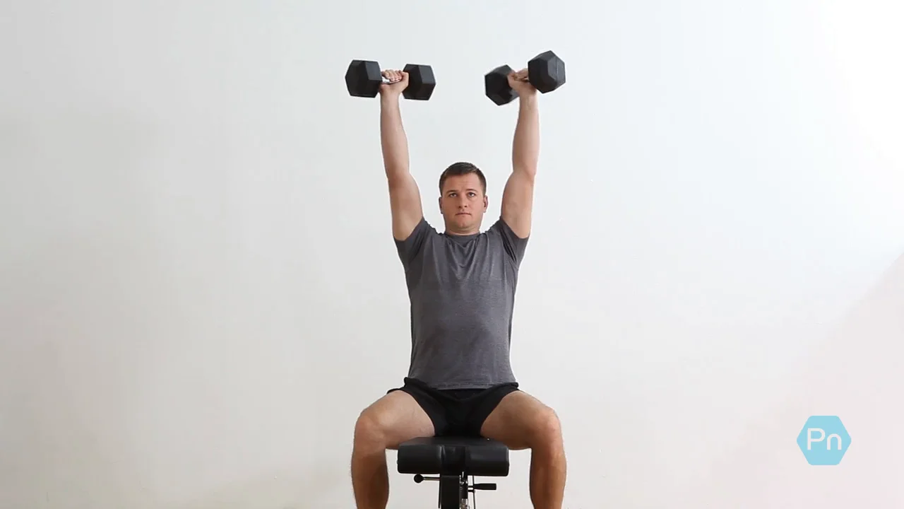 Seated discount db press