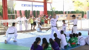 Exhibició de taekwondo de final de curs