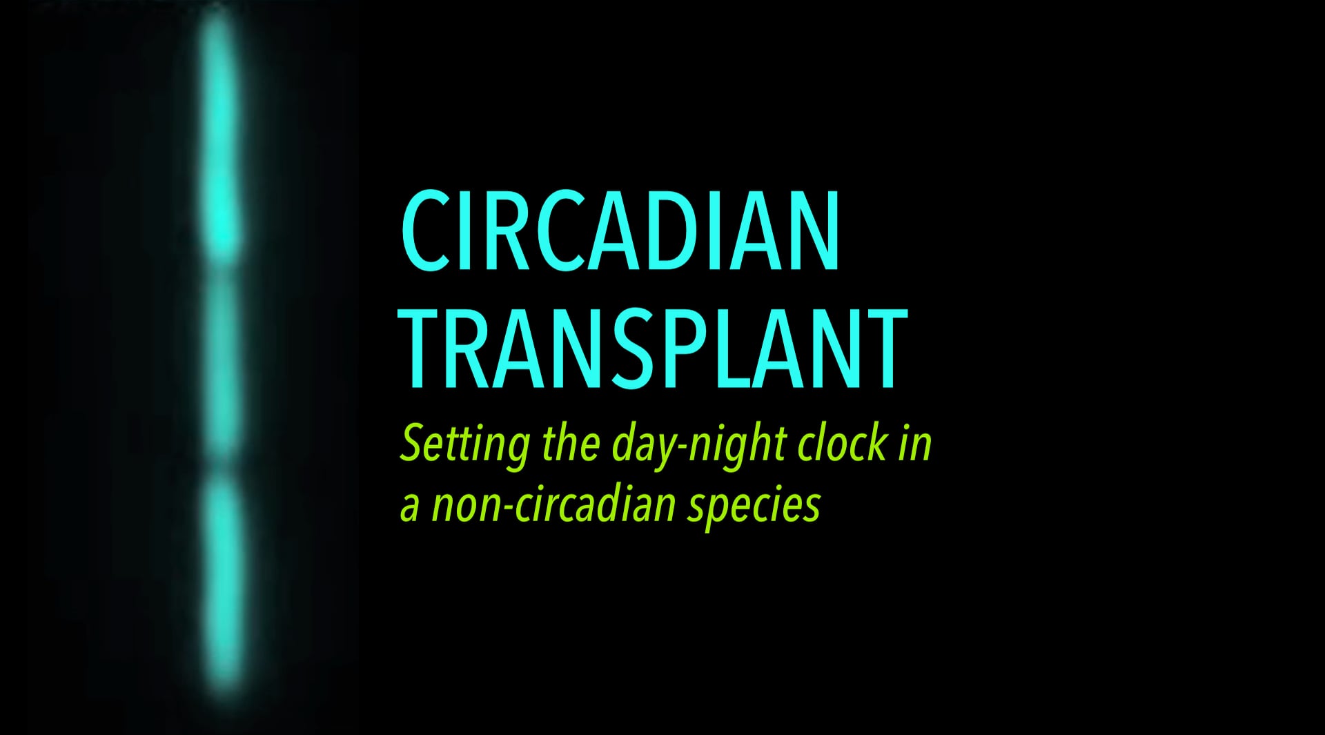 Circadian Transplant