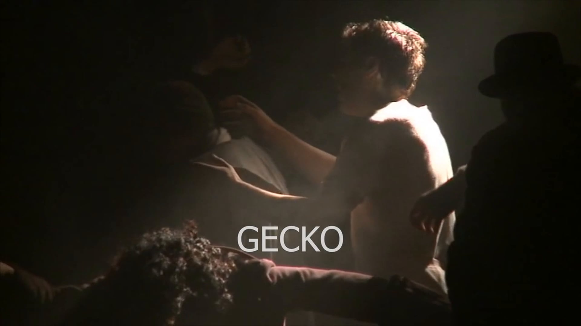 Gecko Compilation 2015
