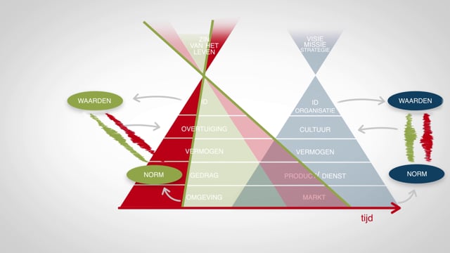 De Zoete  -  Organisatiemodel