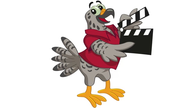 Movieworkshops falcon animation - 