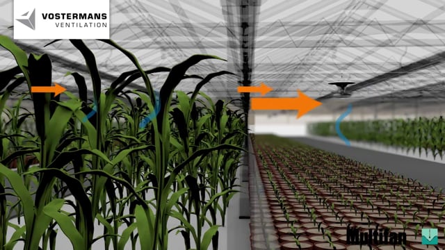 Europe multifan vflowfan greenhouse - 