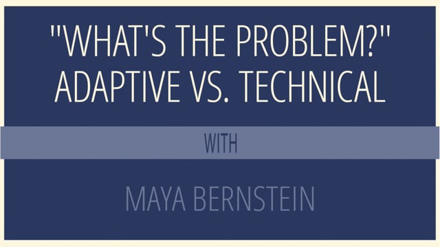 "What's the Problem?" Adaptive vs. Technical