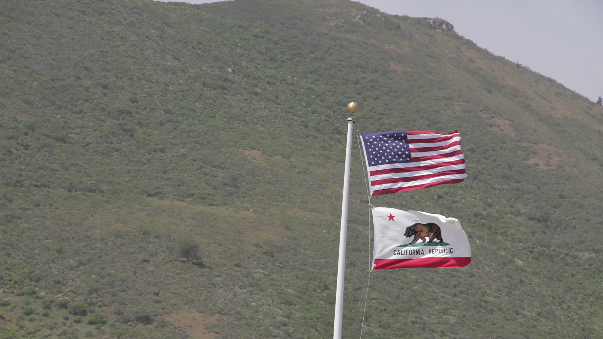 Discovering California