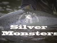 Silver Monsters