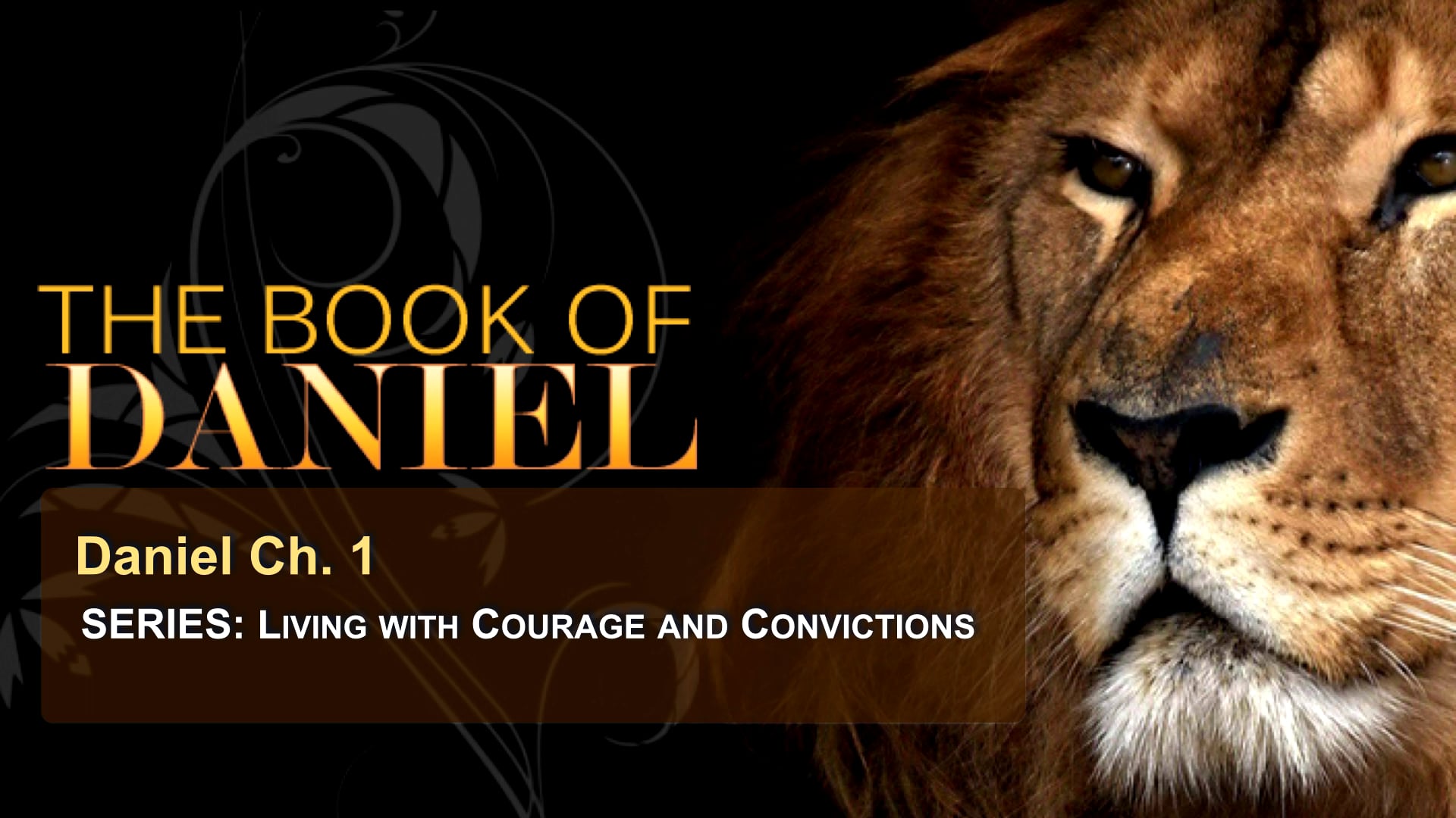 Daniel - Courage and Convictions - Part 2 on Vimeo