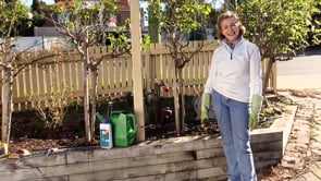 GCTV Rose Care Sandra Ross