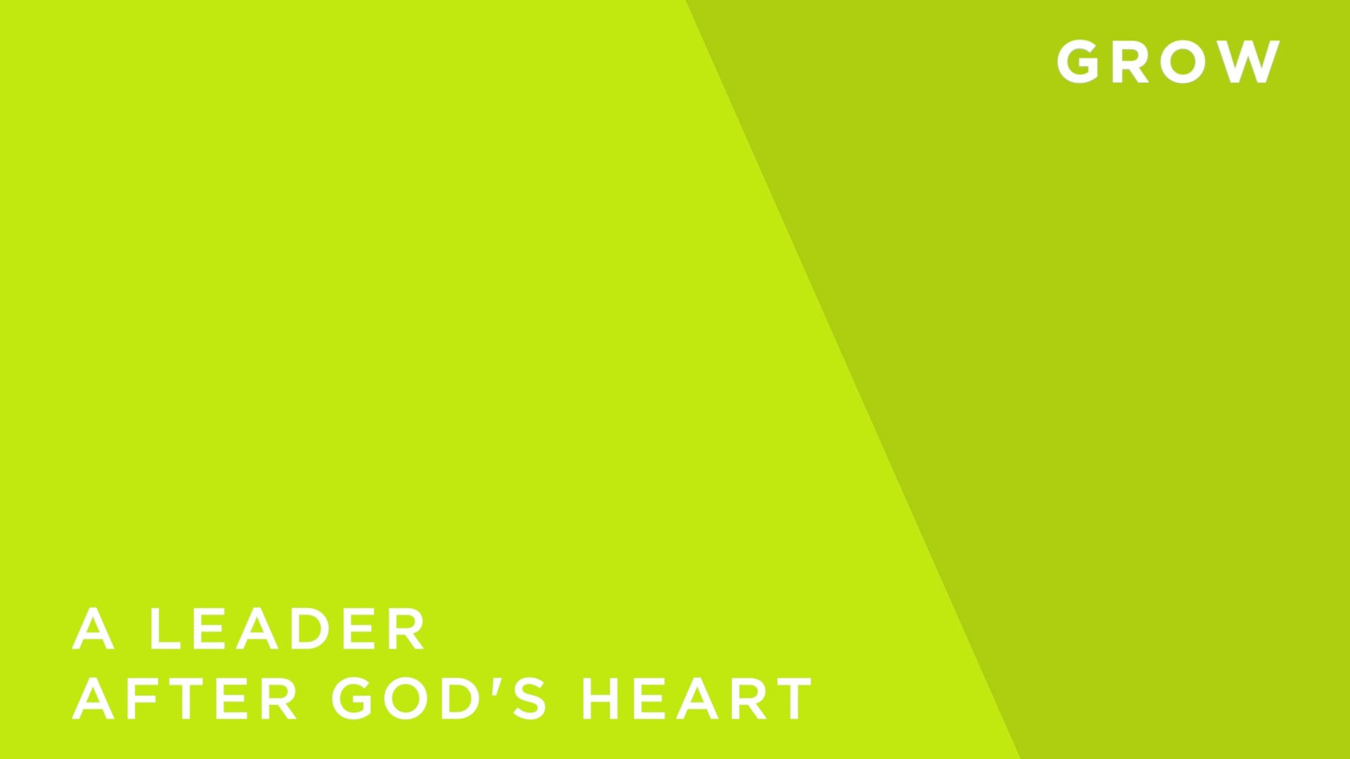 A Leader After God's heart