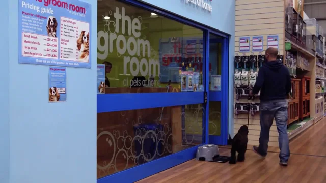 Pets at home dog 2024 grooming