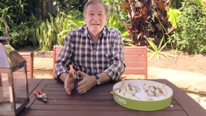 Growing Garlic HD