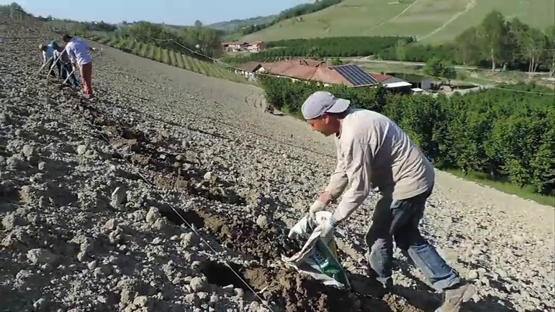 La nuova vigna | 2021