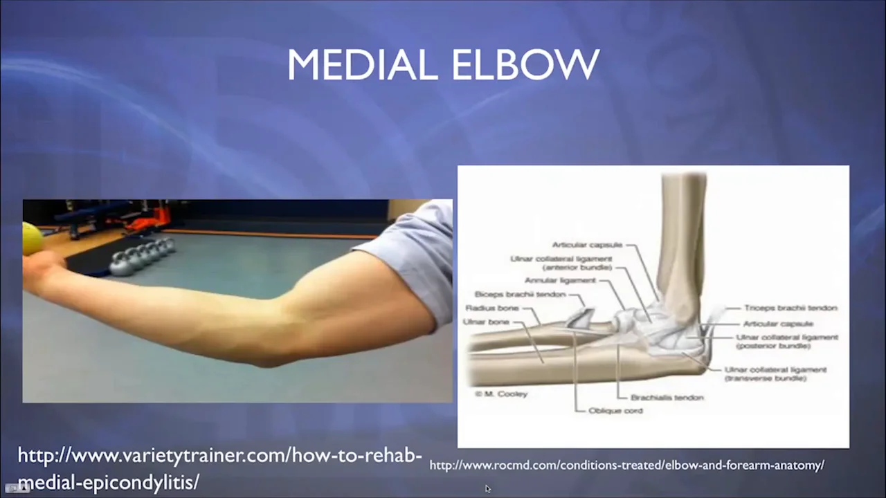 June 2015 Normal Elbow Anatomy and Sonographic Protocol of the Elbow