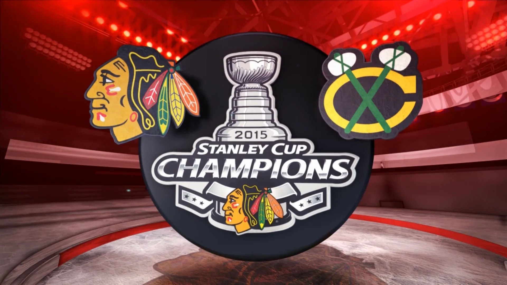 2015 Stanley Cup Champions Chicago Blackhawks 3D LED Neon Sign Light L –