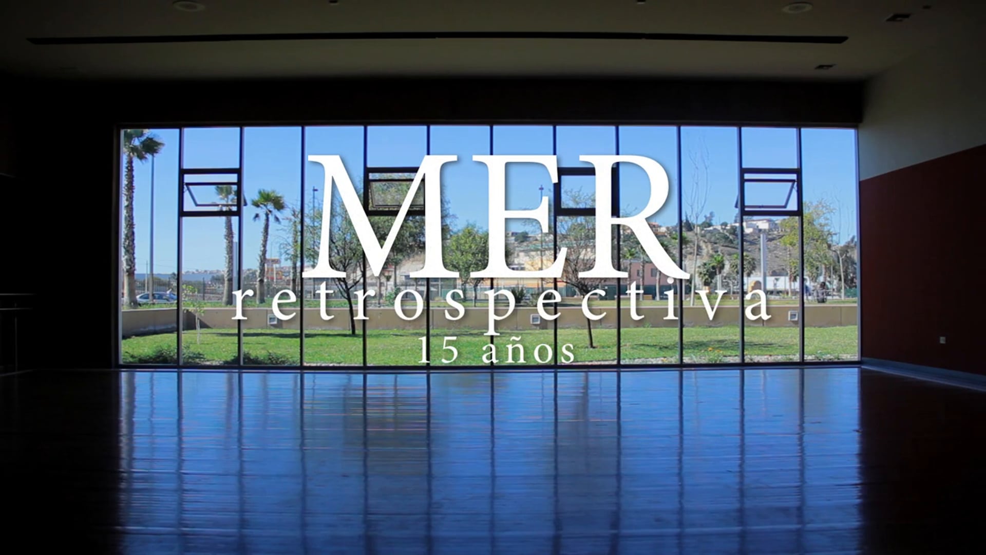 Mujeres en Ritual Retrospectiva:15 Años (Documentary)