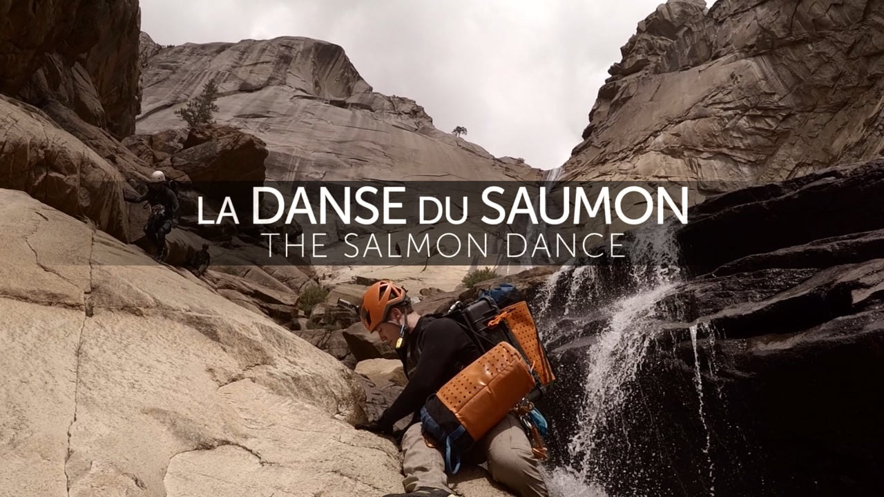 La Danse Du Saumon - May 2015